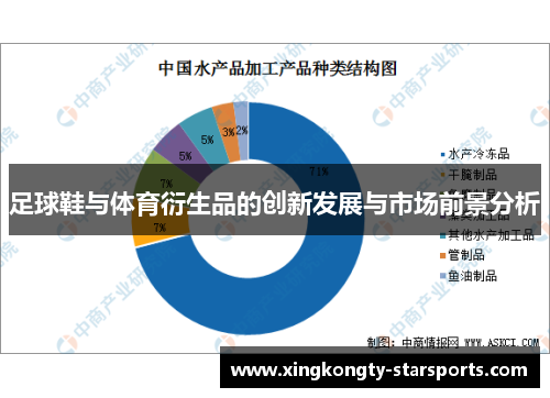 足球鞋与体育衍生品的创新发展与市场前景分析